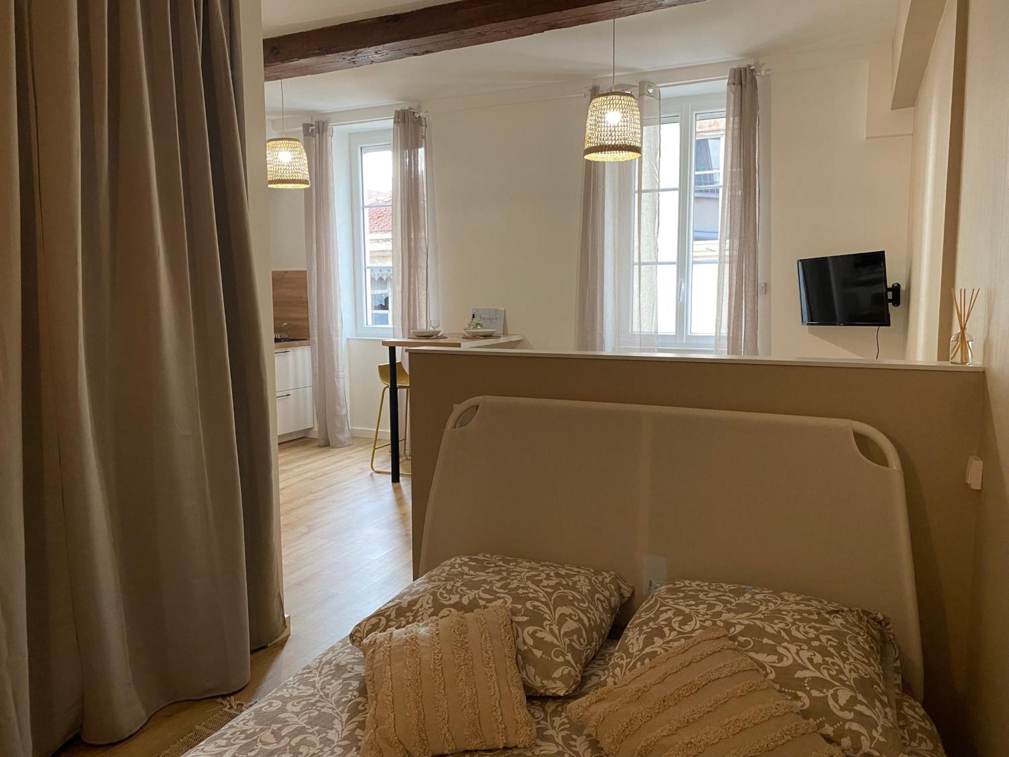 Apartment Le Pacha, En Hypercentre Vienne (Isere)